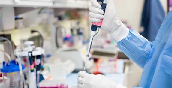 国产成人精品三级麻豆环境麻豆成人免费视频技术（上海）有限公司